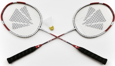 Borth badminton club logo