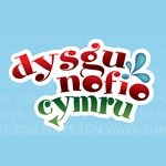 Dysgu Nofio Cymru